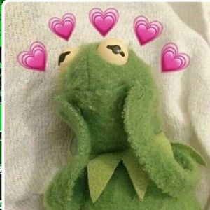 Meet your Posher, Sun